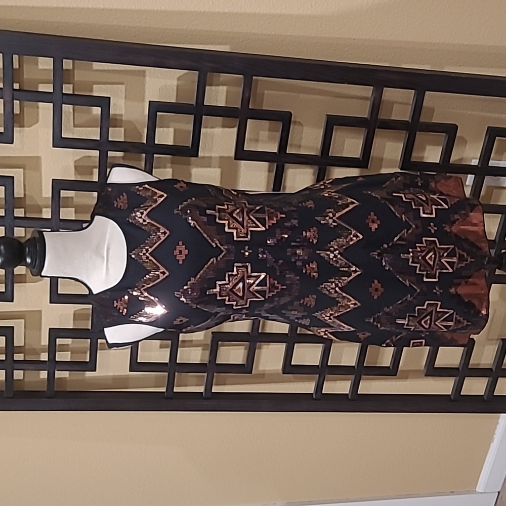 Express Slip-on Sequin Dress